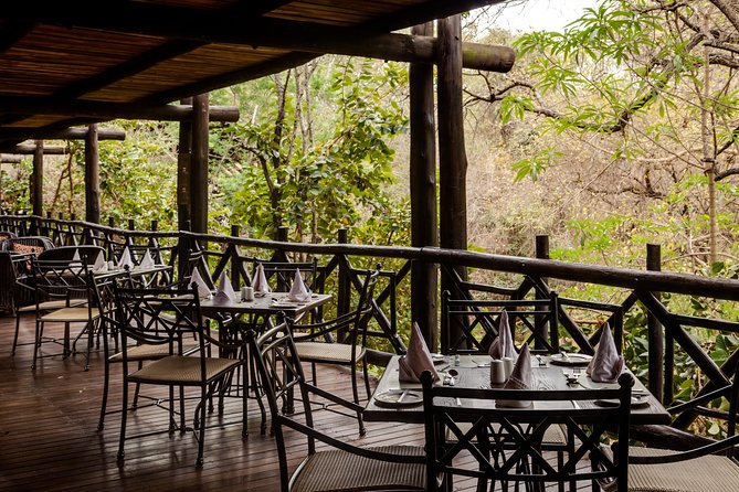 Kruger National Park. 3 Days Best Ever Safari from Cape Town - Day two: the main Kruger safari
