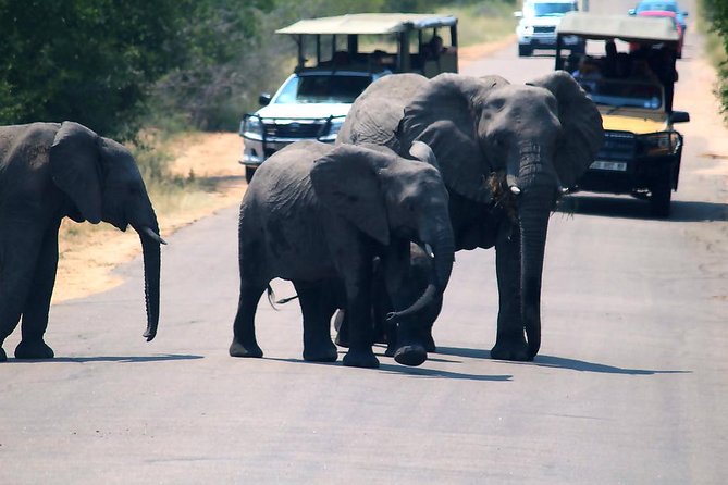 Kruger National Park. 3 Days Best Ever Safari from Cape Town - What the $1,428.93 price really covers
