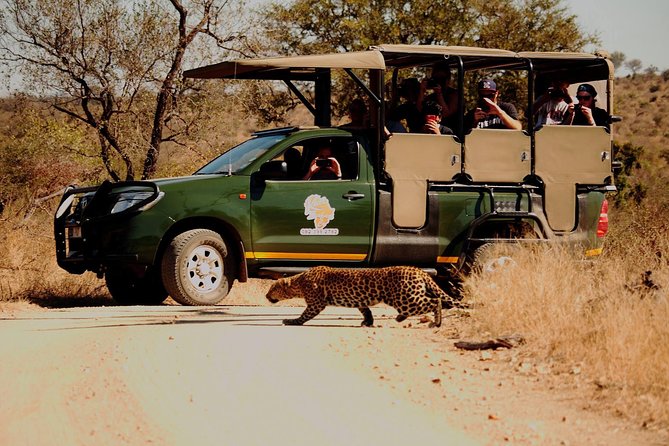 Kruger National Park Full Day Private safari - A private vehicle changes the feel of a safari