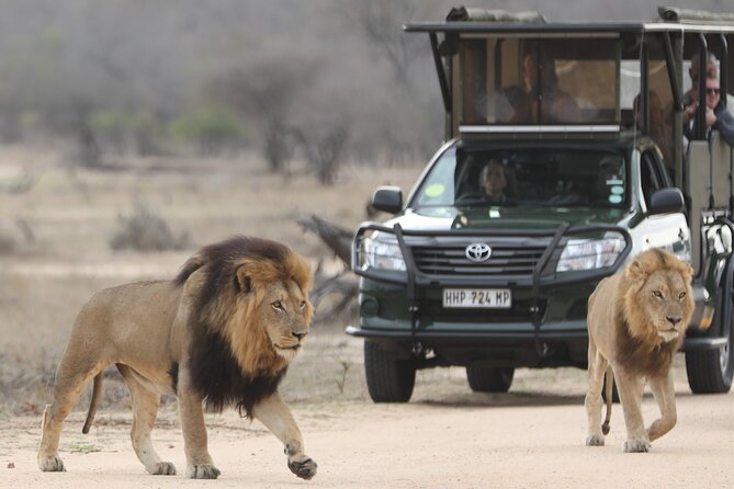 Kruger National Park Full Day Private safari - The long day suits some groups better than others