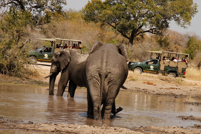 Kruger National Park sunrise Morning Private safari - Why the 5:30 am start matters in Kruger
