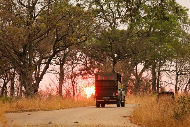 Kruger National Park sunrise Morning Private safari - The guide makes the difference