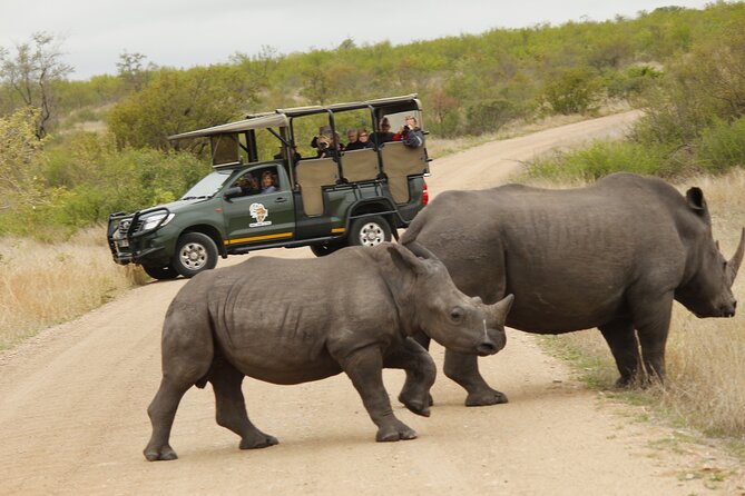 Kruger National Park sunrise Morning Private safari - Who will enjoy this morning most