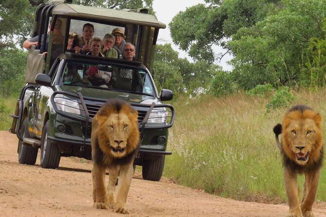 Kruger National Park sunrise Morning Private safari - From Hazyview to the open safari vehicle