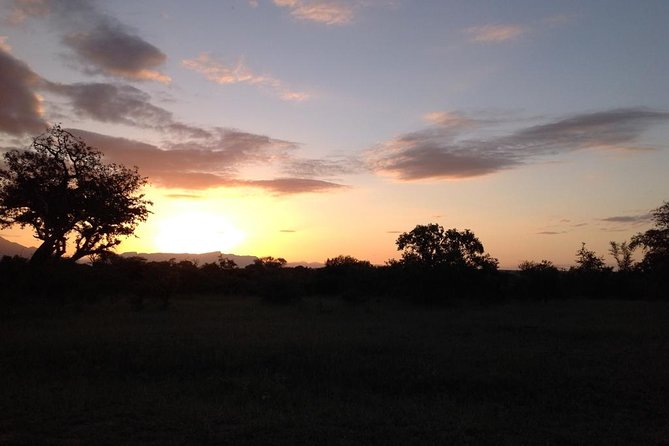 Kruger Park Safari: Guided Day Tour from Nelspruit - Lunch, rest stops, and the practical rhythm