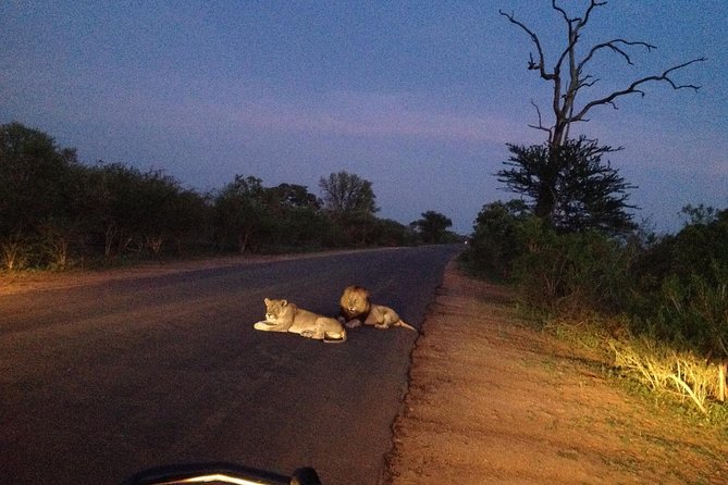 Kruger Park Safari: Guided Day Tour from Nelspruit - Who will enjoy this day most?