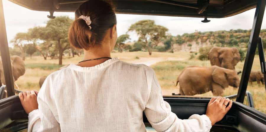 Kruger Park Scheduled Full day Safari Drive from Hoedspruit - Key points to know before booking