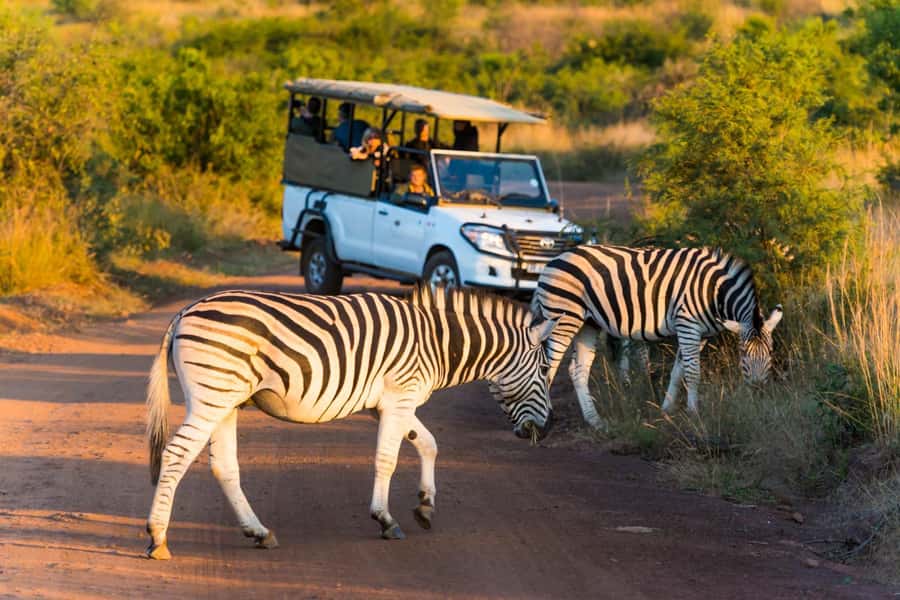 Kruger Park Scheduled Full day Safari Drive from Hoedspruit - Waterholes, rivers, and viewpoint stops