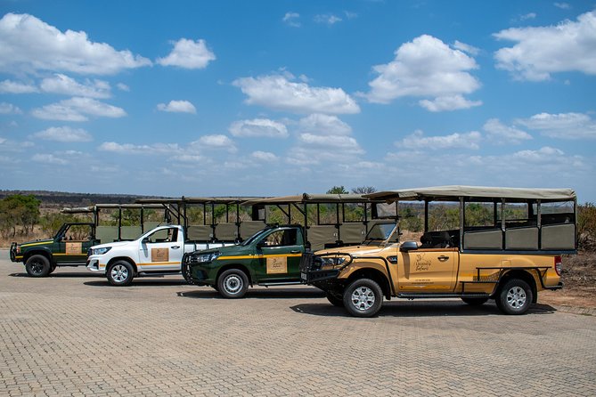 Kruger Safari Tour - Full Day - Why a full day in Kruger is worth your time