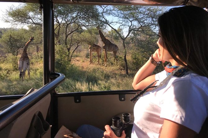 Kruger Safari Tour - Full Day - Booking details that matter
