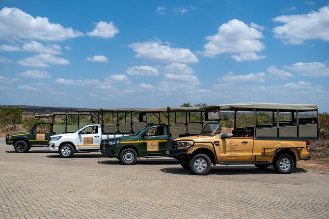 Kruger Safari Tour - Morning Half Day - What the guide adds to the drive