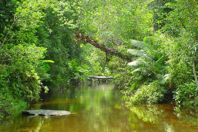 Kulen National Park Ticket - Planning transport without a tour guide