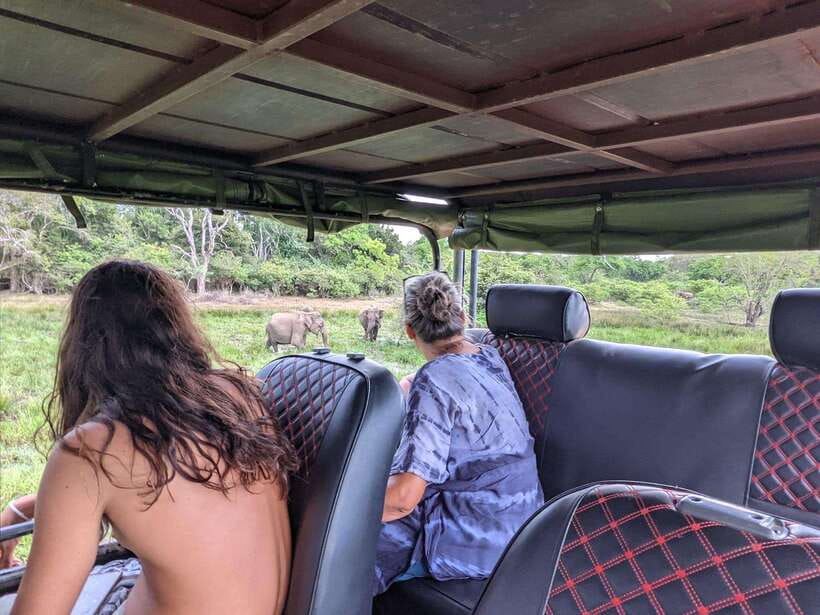 Kumana National Park : Morning or Afternoon Safari Tour - My verdict: book it for the birds and the full park experience