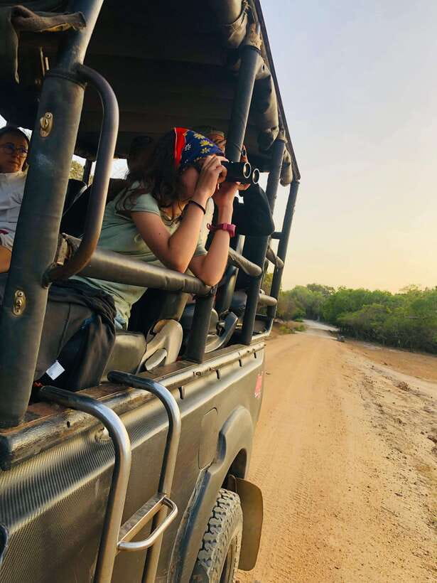 Kumana National Park : Private Half-Day Jeep Safari - Who should book this safari?