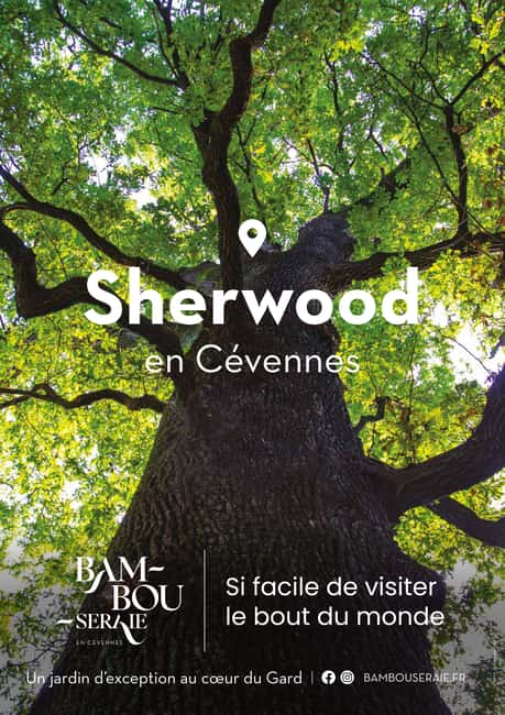 La Bambouseraie en Cévennes Ticket - Is the $18 ticket good value?