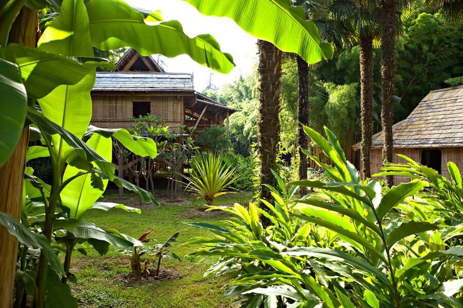 La Bambouseraie en Cévennes Ticket - Starting with the Bamboo Grove and meadow