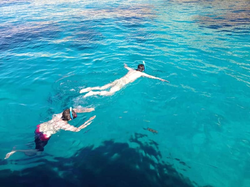 La Ciotat: Calanques Morning Boat Tour with Snorkeling - Figuerolles, Port Pin, and En-Vau