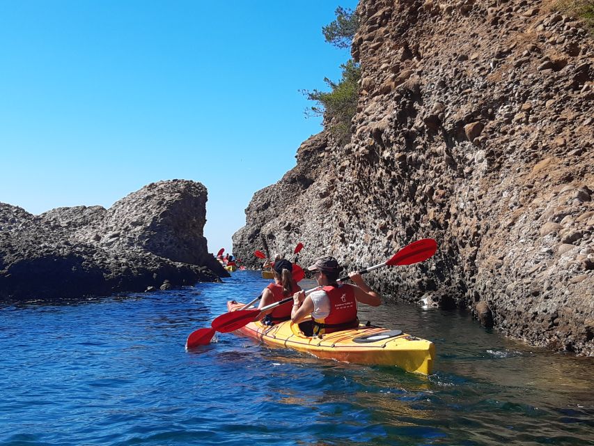 La Ciotat: Calanques National Park Guided Kayak Tour - Who should book, and who should skip it