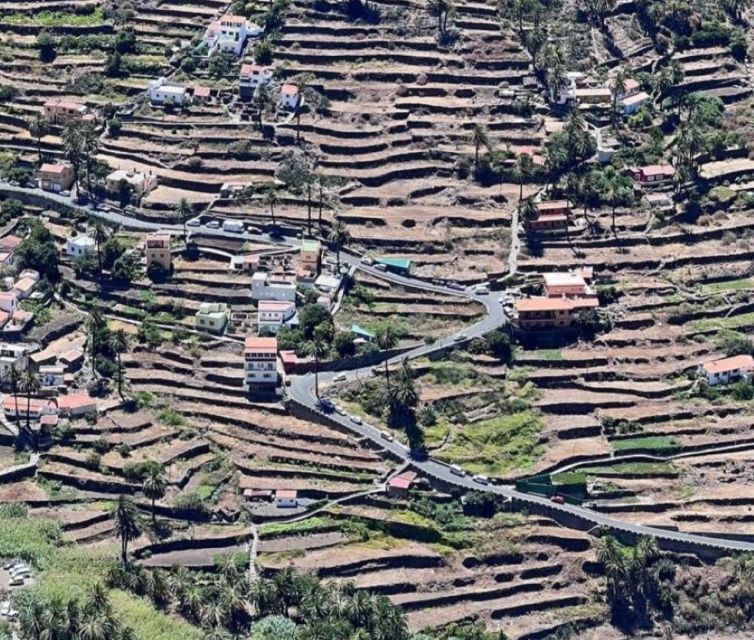 La Gomera: Garajonay National Park Entry Ticket and Tour - A Five-Hour Introduction to La Gomera