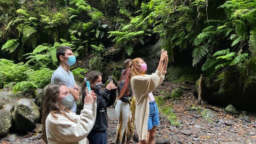 La Gomera: Garajonay National Park Entry Ticket and Tour - Leaving San Sebastián for the Island’s Interior
