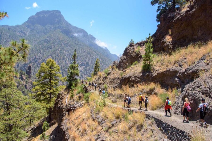 La Palma: Caldera de Taburiente National Park Guided Hike - Why Caldera de Taburiente is worth your day