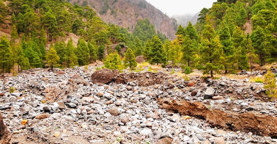 La Palma: Caldera de Taburiente National Park Guided Hike - Starting high above the crater