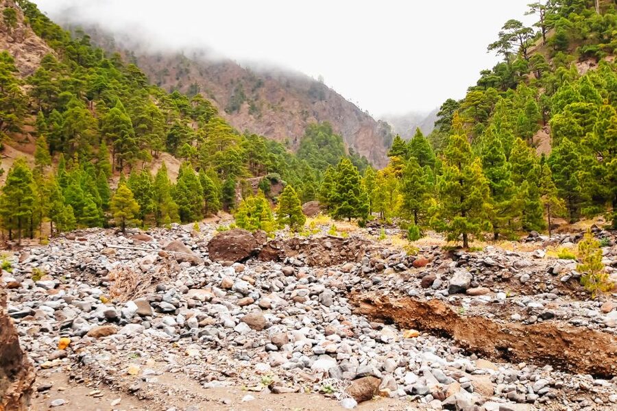 La Palma: Caldera de Taburiente National Park Guided Hike - Getting to Los Brecitos from the island