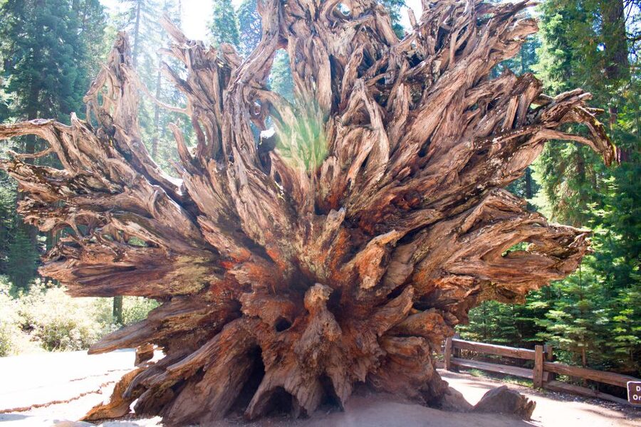 LA: San Francisco, Yosemite, Vegas, Grand Canyon 7-Day Tour - Day six: Antelope Canyon with a Navajo guide