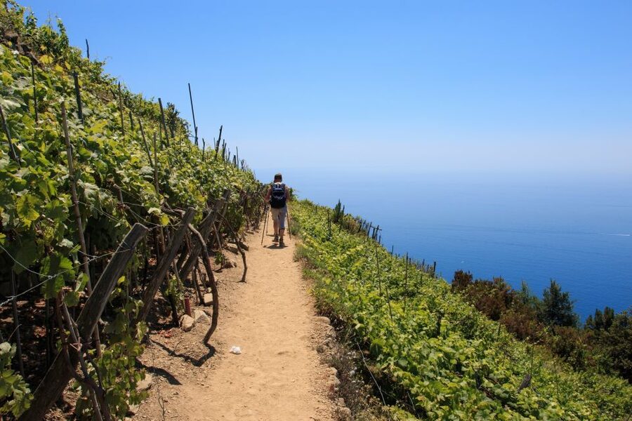 La Spezia: Cinque Terre Guided Hiking Tour - Who should book this Cinque Terre hike