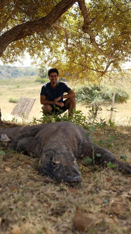 Labuan Bajo: 2D1N Komodo & Pink Beach Shared Boat Tour - What $183 buys you on the Flores Sea