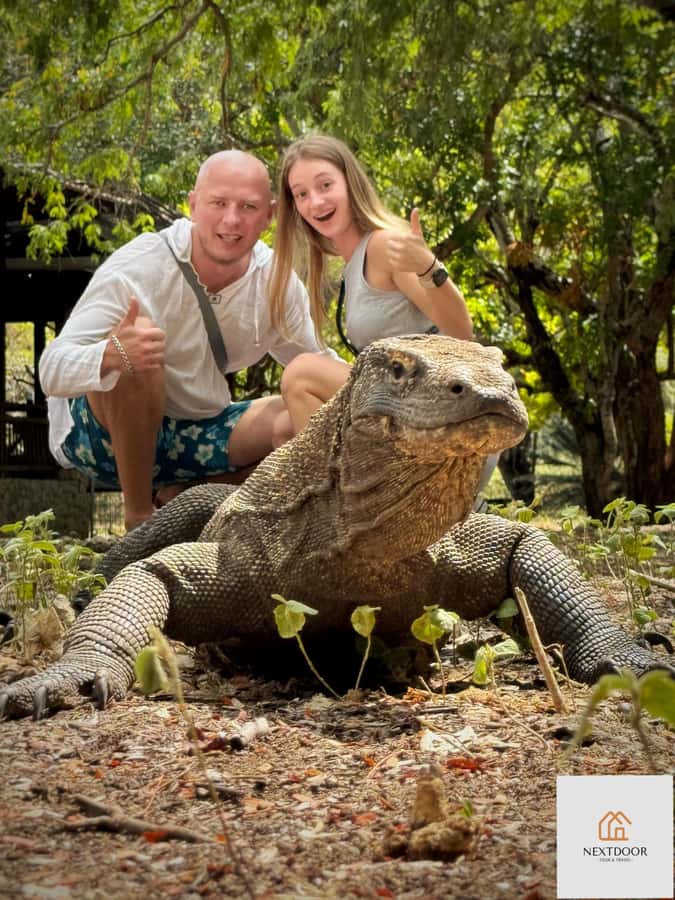 Labuan Bajo: 2D1N Komodo & Pink Beach Shared Boat Tour - Sleeping aboard a small wooden boat