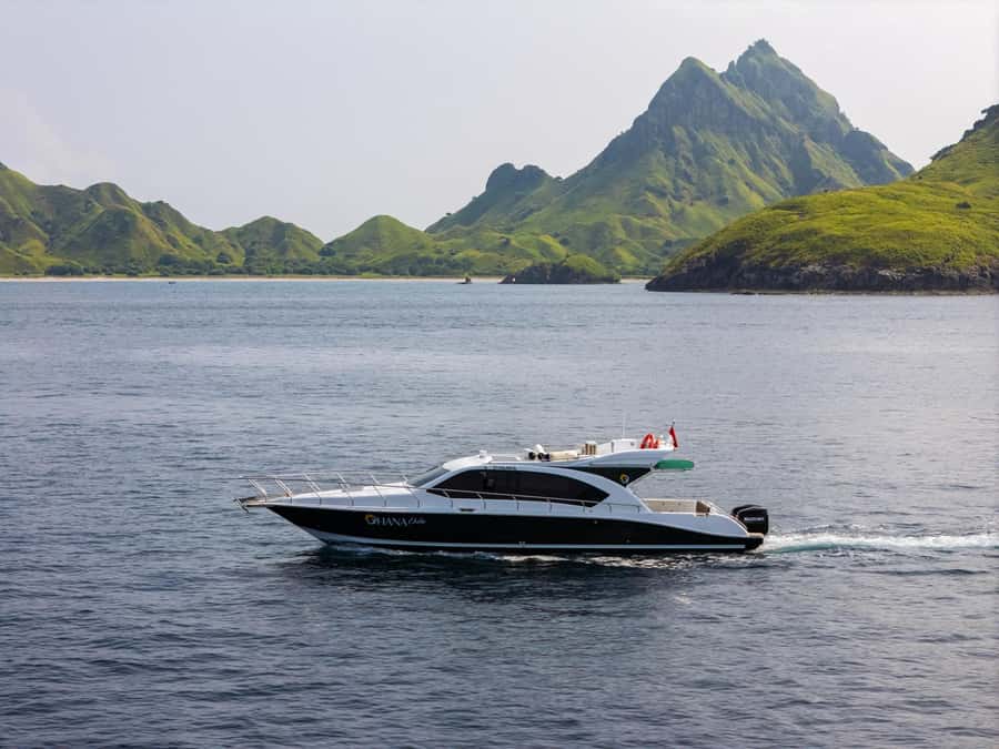 Labuan Bajo: Komodo National Park Full-Day Speedboat Tour - Key points at a glance