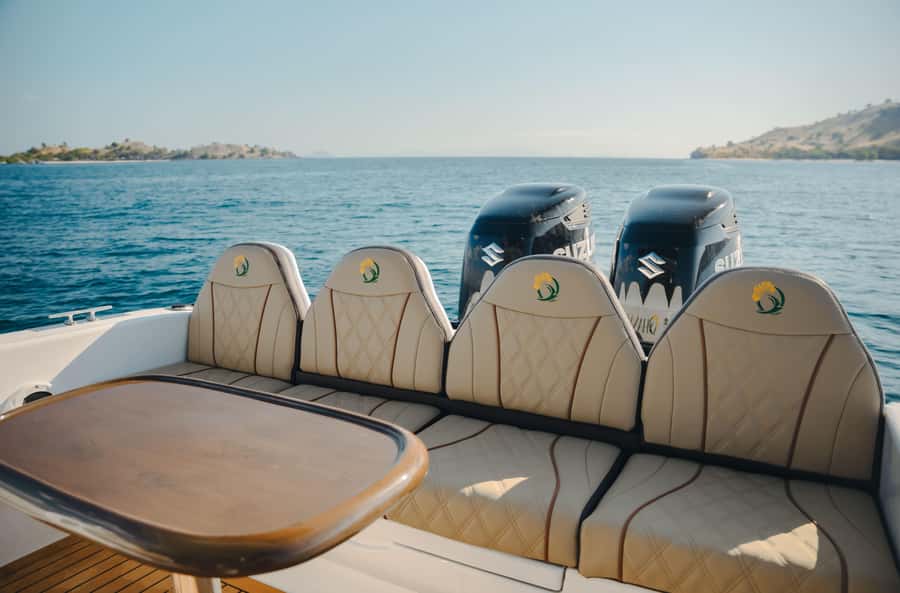 Labuan Bajo: Komodo National Park Full-Day Speedboat Tour - Manta Point: the day’s most uncertain thrill