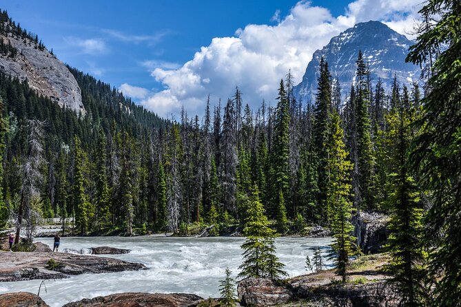 Lake Louise Moraine Lake Day Trip from Banff Calgary Canmore - Who will enjoy this tour most?