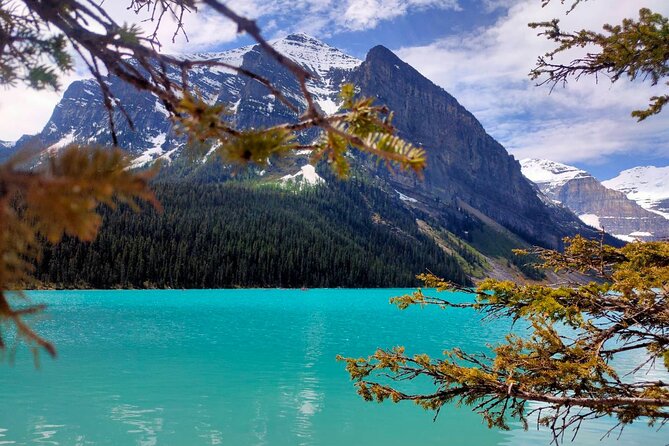 Lake Louise Moraine Lake Johnston Canyon 1.5h Half Day Tour - Johnston Canyon takes over in winter