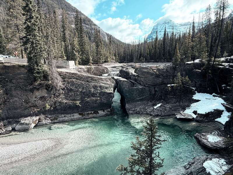 Lake Moraine Lake Louise Johnston Canyon Banff Town Day Tour - Who should book this Banff tour