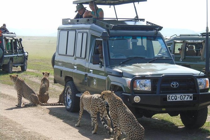 Lake Nakuru, Naivasha & Masai Mara 4 Days Private Jeep Safari - Key points to know before booking