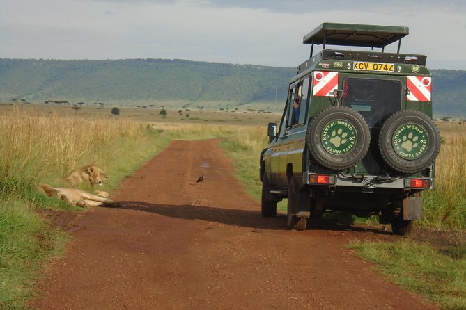 Lake Nakuru, Naivasha & Masai Mara 4 Days Private Jeep Safari - Three Kenyan parks in four demanding days