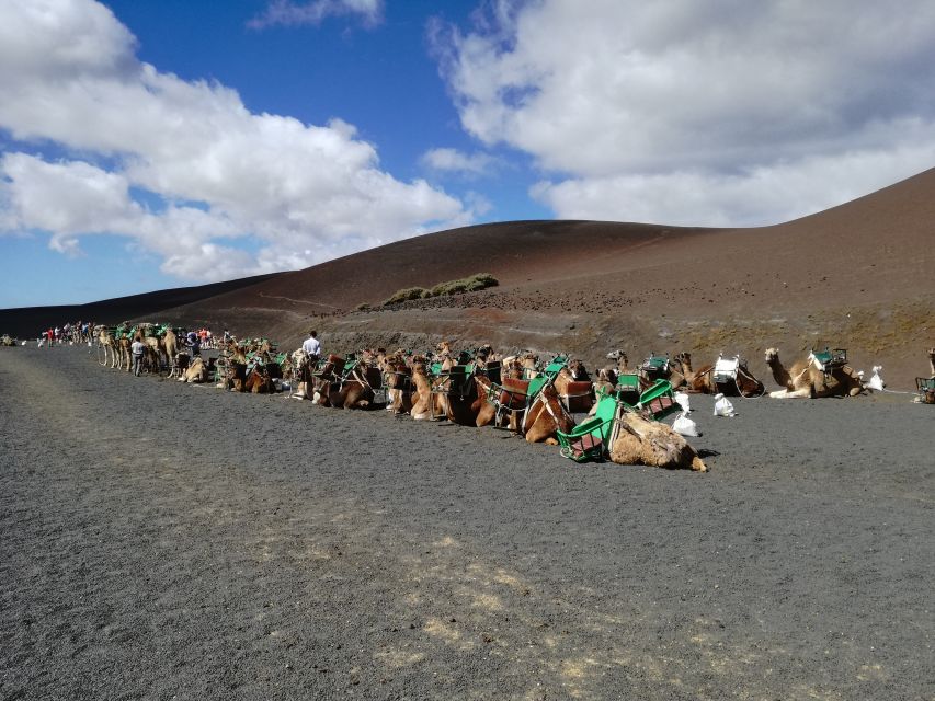 Lanzarote: 5-Hour Timanfaya National Park Southern Tour - Who will enjoy this excursion most