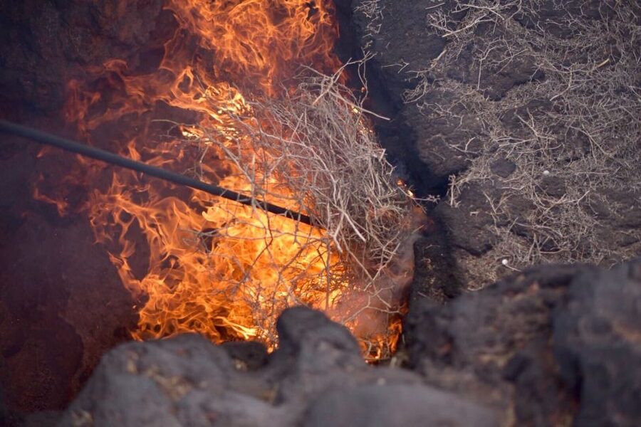 Lanzarote: 5-Hour Timanfaya National Park Southern Tour - La Geria and the clever method behind Lanzarote wine