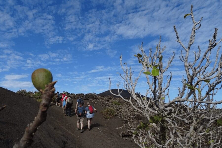 Lanzarote: Hike Across Timanfaya's Volcanic Landscapes - The guides and the way they explain Lanzarote