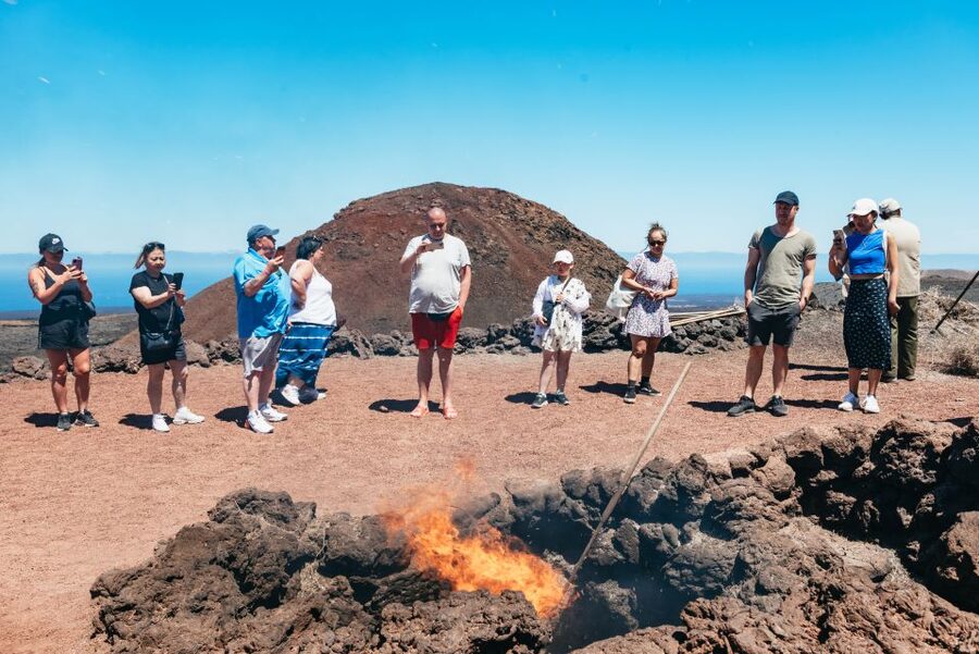 Lanzarote: Timanfaya National Park & La Geria Tour - Key points to know before booking