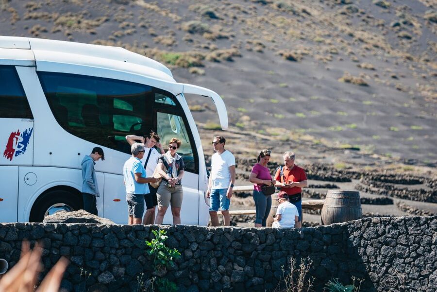 Lanzarote: Timanfaya National Park & La Geria Tour - La Geria, where vineyards grow in black ash