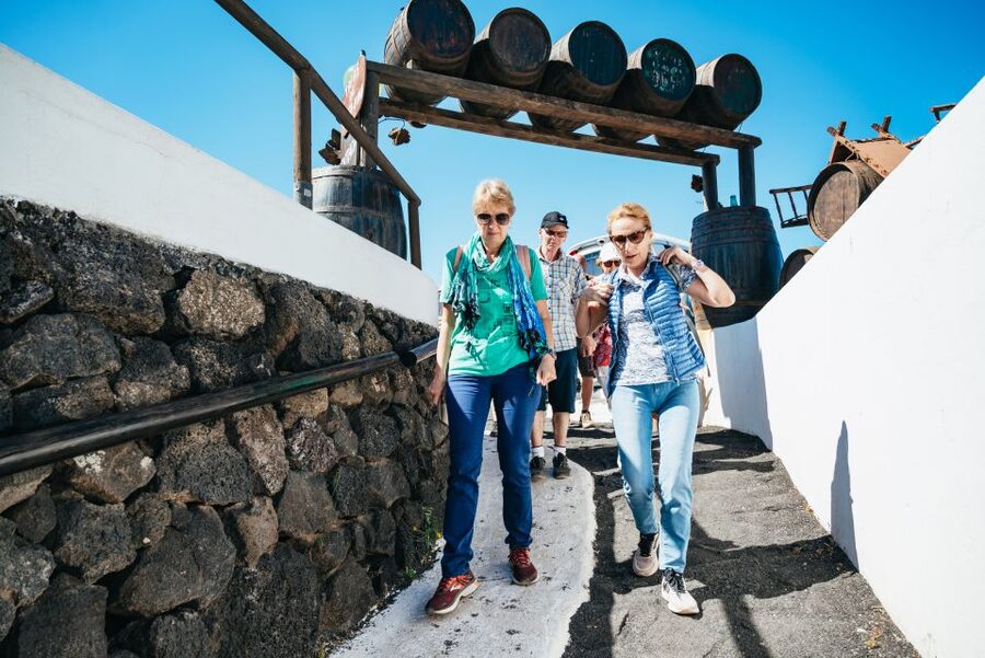 Lanzarote: Timanfaya National Park & La Geria Tour - Is $72 a fair price?