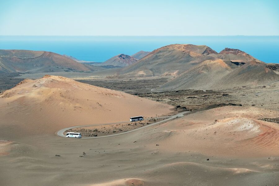 Lanzarote: Timanfaya National Park & La Geria Tour - Who will enjoy this tour most