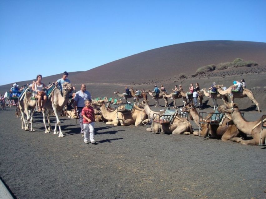 Lanzarote: Timanfaya National Park Tour - Key points at a glance