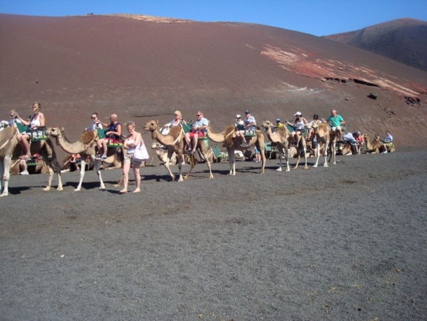 Lanzarote: Timanfaya National Park Tour - The coach route through Timanfaya