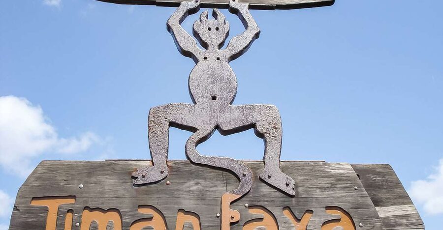 Lanzarote: Timanfaya National Park Volcanic Craters Tour - Why Timanfaya is best seen from a coach