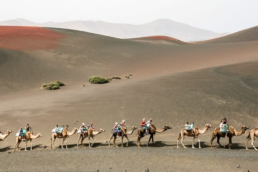 Lanzarote: Timanfaya National Park Volcanic Craters Tour - Islote de Hilario and the heat beneath your feet