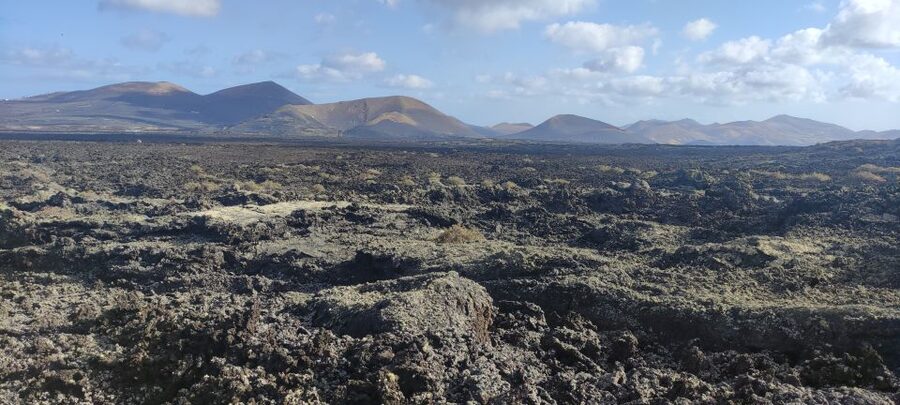 Lanzarote: Timanfaya Natural Park Trekking Tour - Key points to know before you book